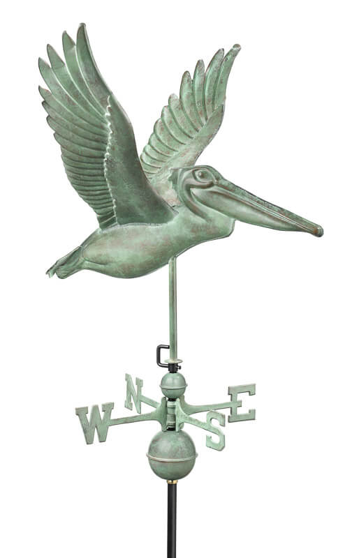 Pelican - Blue Verde