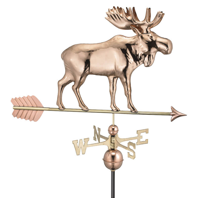 Moose with Arrow - Polished