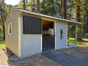 Custom 12x20 Shed Row Horse Barn