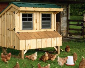 Chicken Coop is designed to fit well in your backyard and look good at the same time, plus it features a durable metal roof.