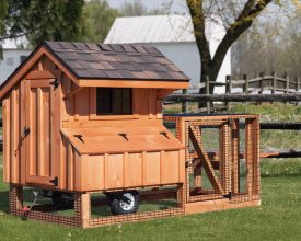 Cedar board chicken coop plus a small attached run area and has tires making it portable and good looking.