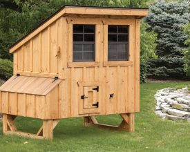 Chicken Coop with shed style roof, features windows and nesting boxes with small run door.
