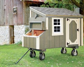 This chicken coop features painted vertical siding, with white trim and a sheds style roof, plus it has wheels making it very easy to move around.