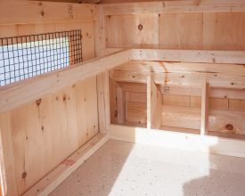 Chicken Coops interior can be tailored to your wants, this one features unfinished pine board and nesting rails with wire mesh over windows for ventilation.