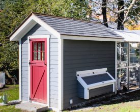 This chicken coop features gray vinyl siding a red walk door and shingled roof plus has white trim.