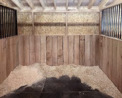 10x12 Horse Stalls