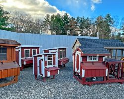 Outdoor Personia In stock Chicken Coops