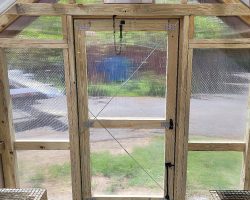 8x10 Custom Greenhouse interior