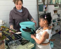 Teaching potting in the Shed