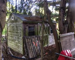 the old shed was in bad condition