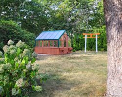 Custom 8x10 Haven Greenhouse