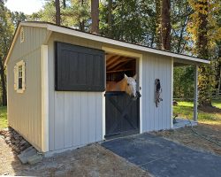 Custom 12x20 Shed Row Horse Barn
