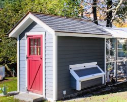 Custom 6x10 Chicken Coop in Brookline, MA