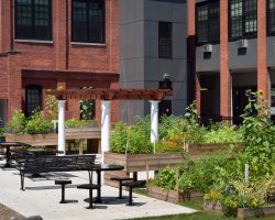 Swan Custom Pergola Right Side