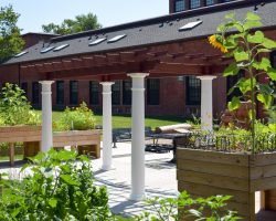 Swan Custom Pergola From Behind