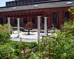 Swan Custom Pergola and Garden